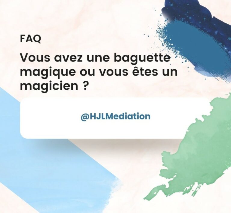 Le médiateur un magicien ou un professionnel de la médiation ?